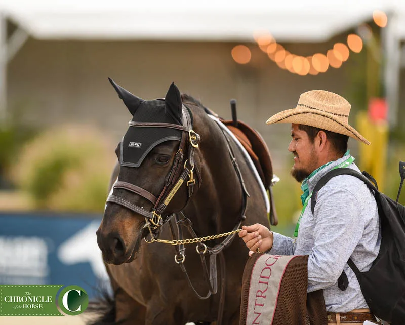 6 Champion Martinez Lo Visto Van't Hulgenrode-4721