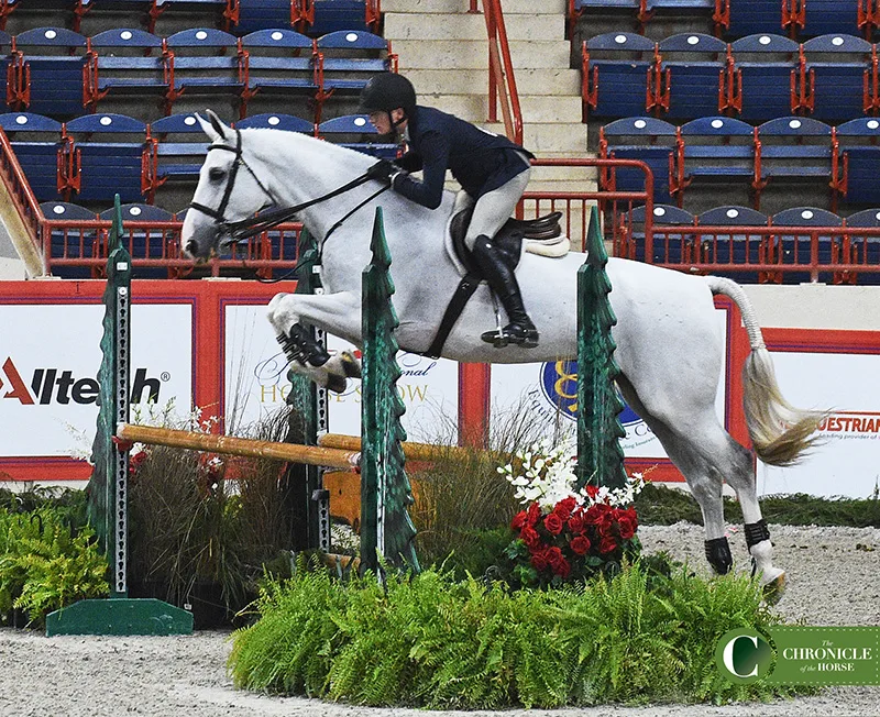 Behind The Stall Door With: Jamaica, North Run's Cinderella Behind The Stall Door With: Jamaica, North Run's Cinderella