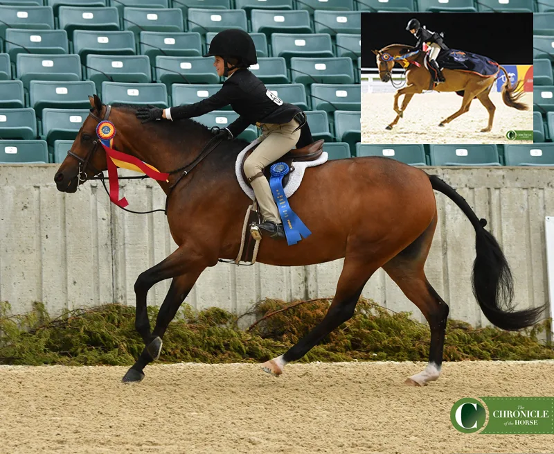 WEB Elle Boyd Pony Finals inset