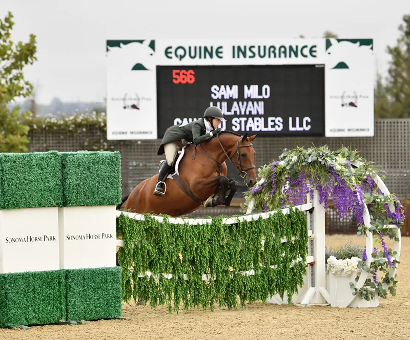 web Winner of the $20,000 USHJA International Hunter Derby Presented by The Townsend Family Lulavani & Sami Milo