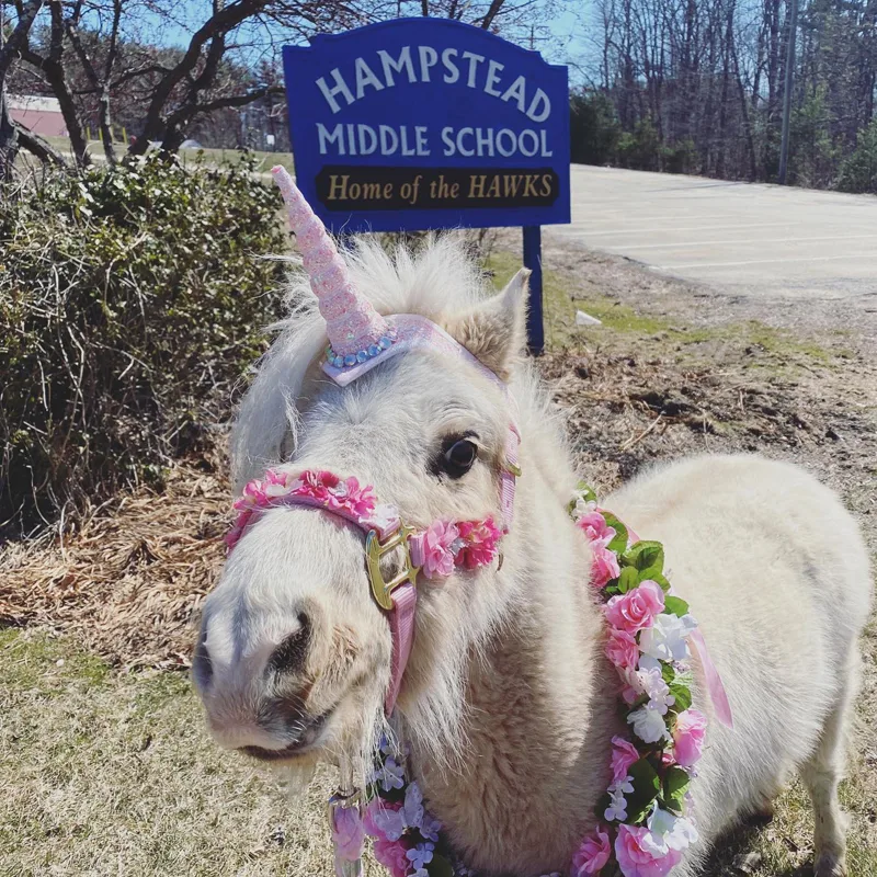 RemiUnicornmiddleschool