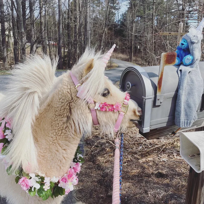RemiUnicornMailbox
