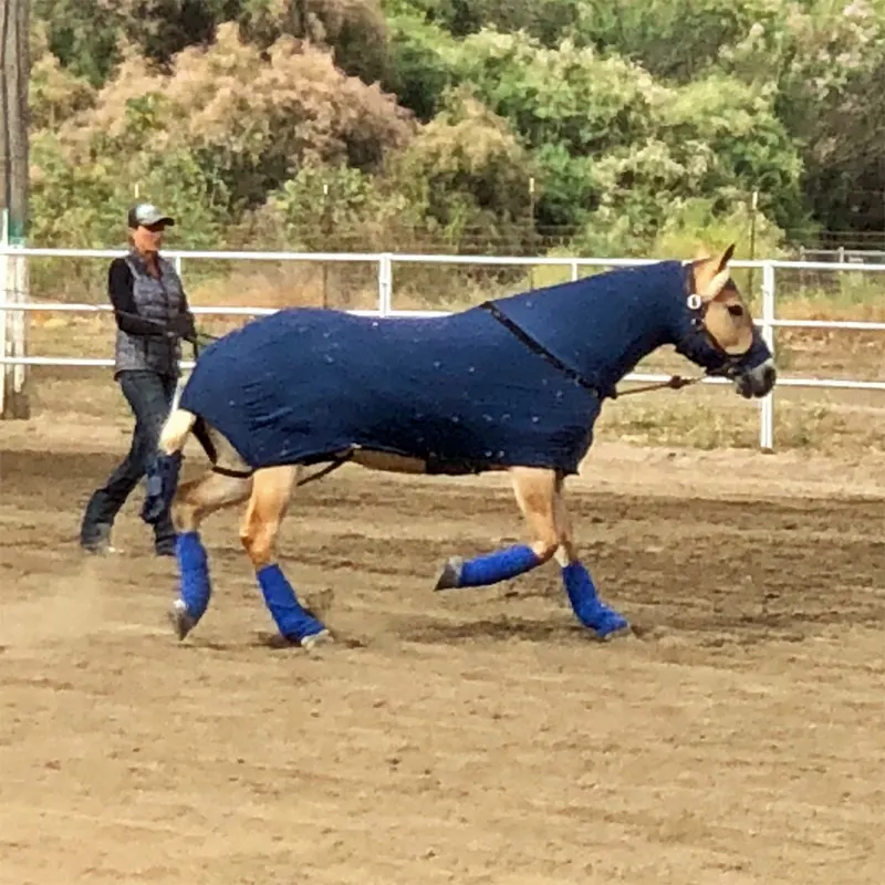 HalflingerLia longes in loungewear