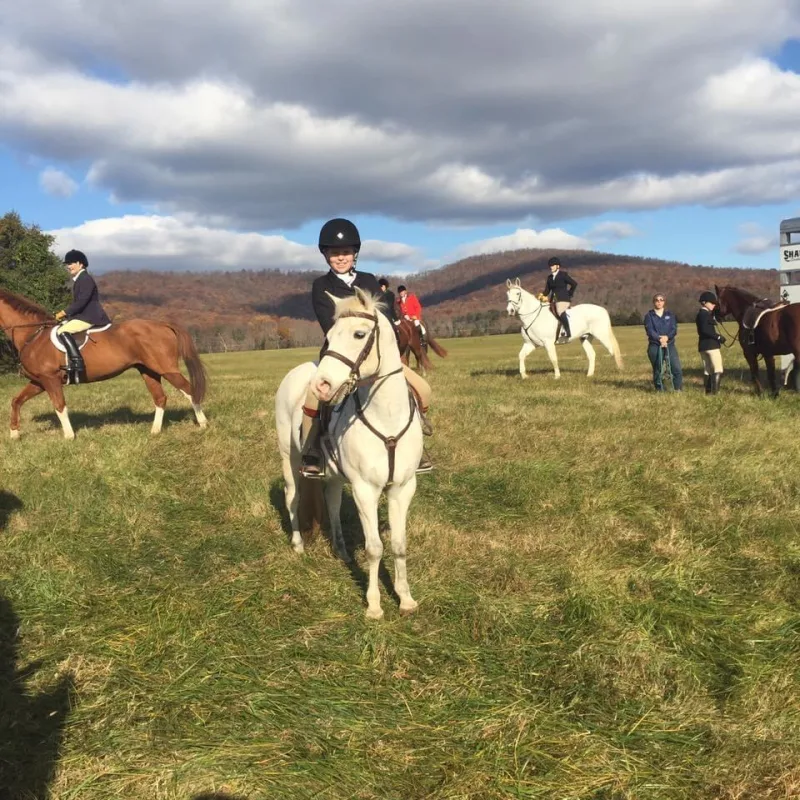 josie 2 foxhunting