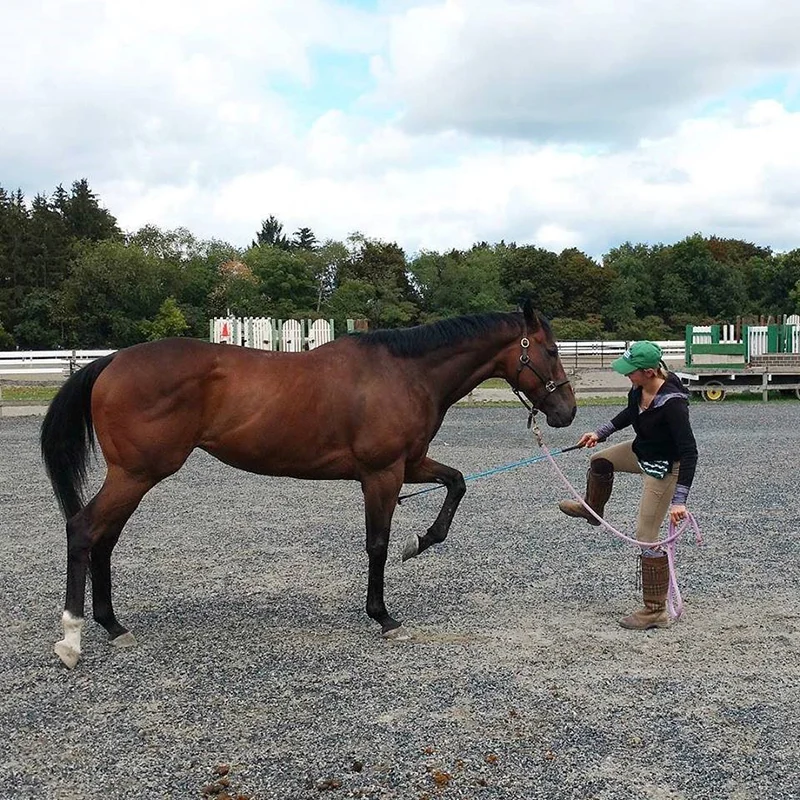 Skye Anna Nye-Smith teaches Tale Of The Heart to dance at the Harmony Horsemanship clinic organized by Second Chance Thoroughbreds. Photo by Collette Duddy, Second Chance Thoroughbreds.