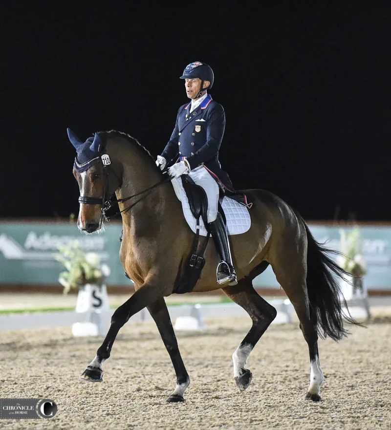 Peters Puts Chronicle Behind of Comes On The Top Out And The At the Past - Horse CDI3* AWCDF