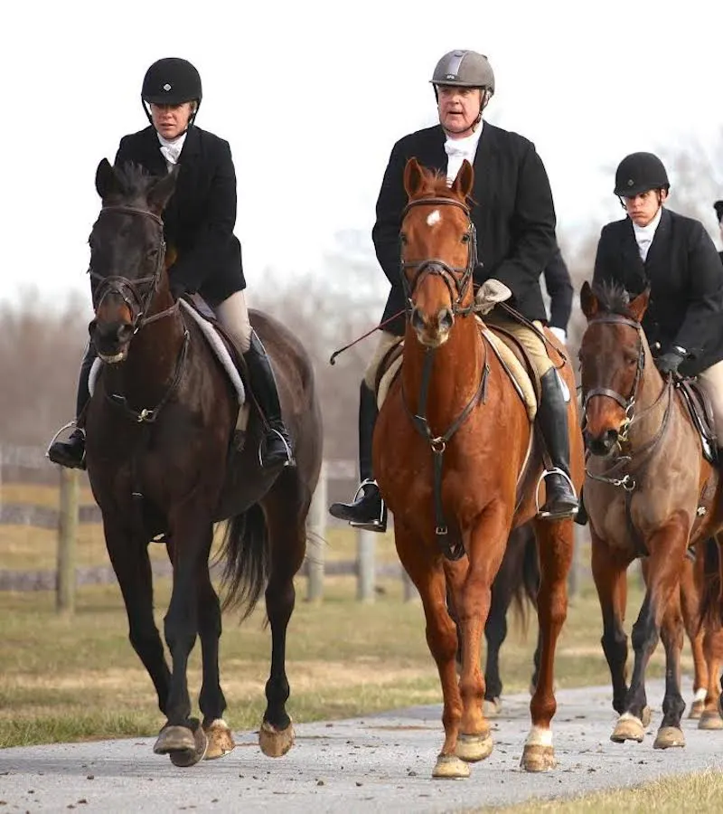 Beth Supik (left) hunting with timber horse trainer Bruce Fenwick. Photo by Carol Fenwick