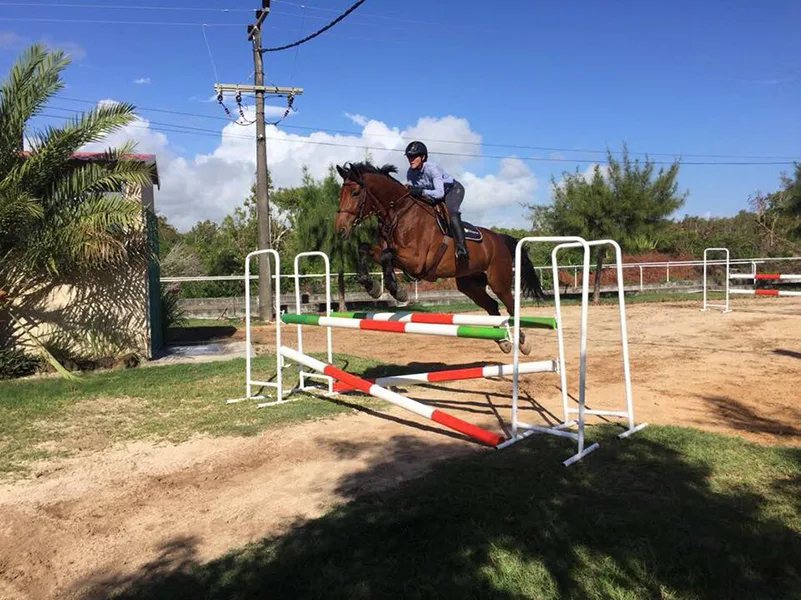 The quarantine in Mauritius had no jumping arena, so Lisa would school Campbell over fences on the driveway. Photo supplied by Lisa Williams