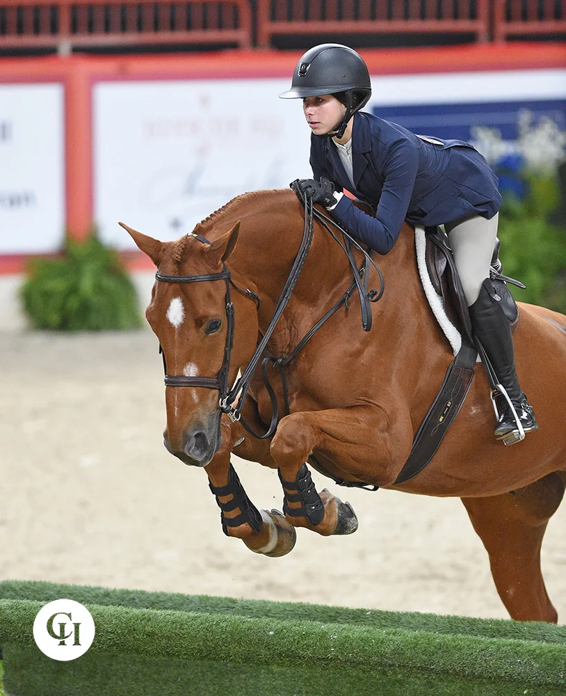 MW22 - Class 136 - ASB Pleasure Equitation Saddle & Bridle Medallion - 2022  - Richfield Video Archive