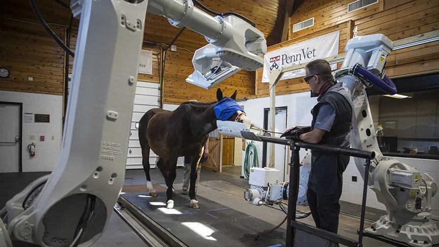 The University of Pennsylvania School of Veterinary Medicine, which includes the New Bolton Center, is facing budget cuts. Photo courtesy New Bolton Center.