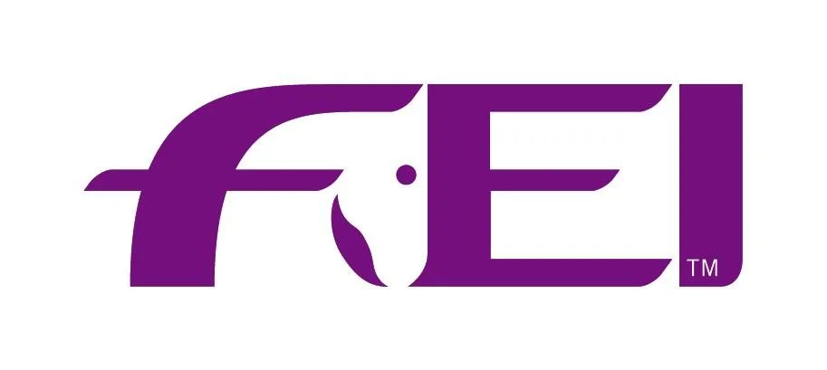 fei-logo_9.jpg