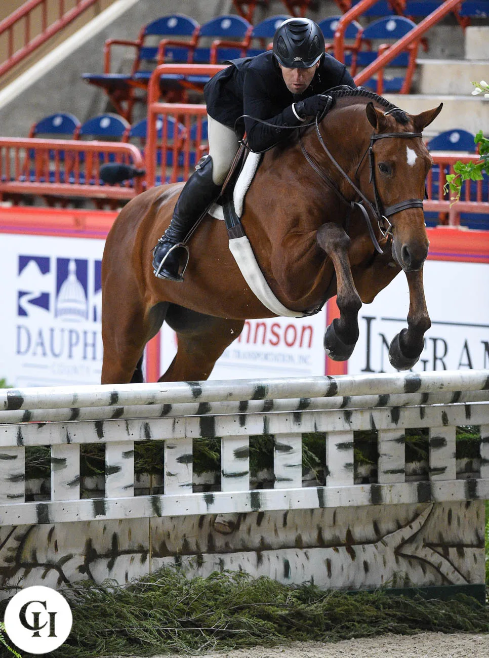 Updated: A Dream Horse Show For Drumroll And Hesslink - The Chronicle ...