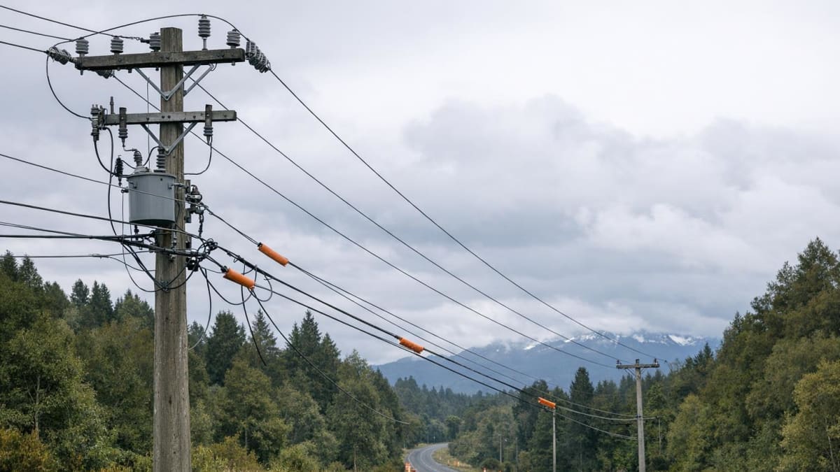 Poste y cables eléctricos en una ruta del sur de Chile, imagen referencial para cortes de luz programados