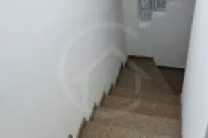 Cópia de PADRÃO - CARROSSEL - MICA - 4.webp
