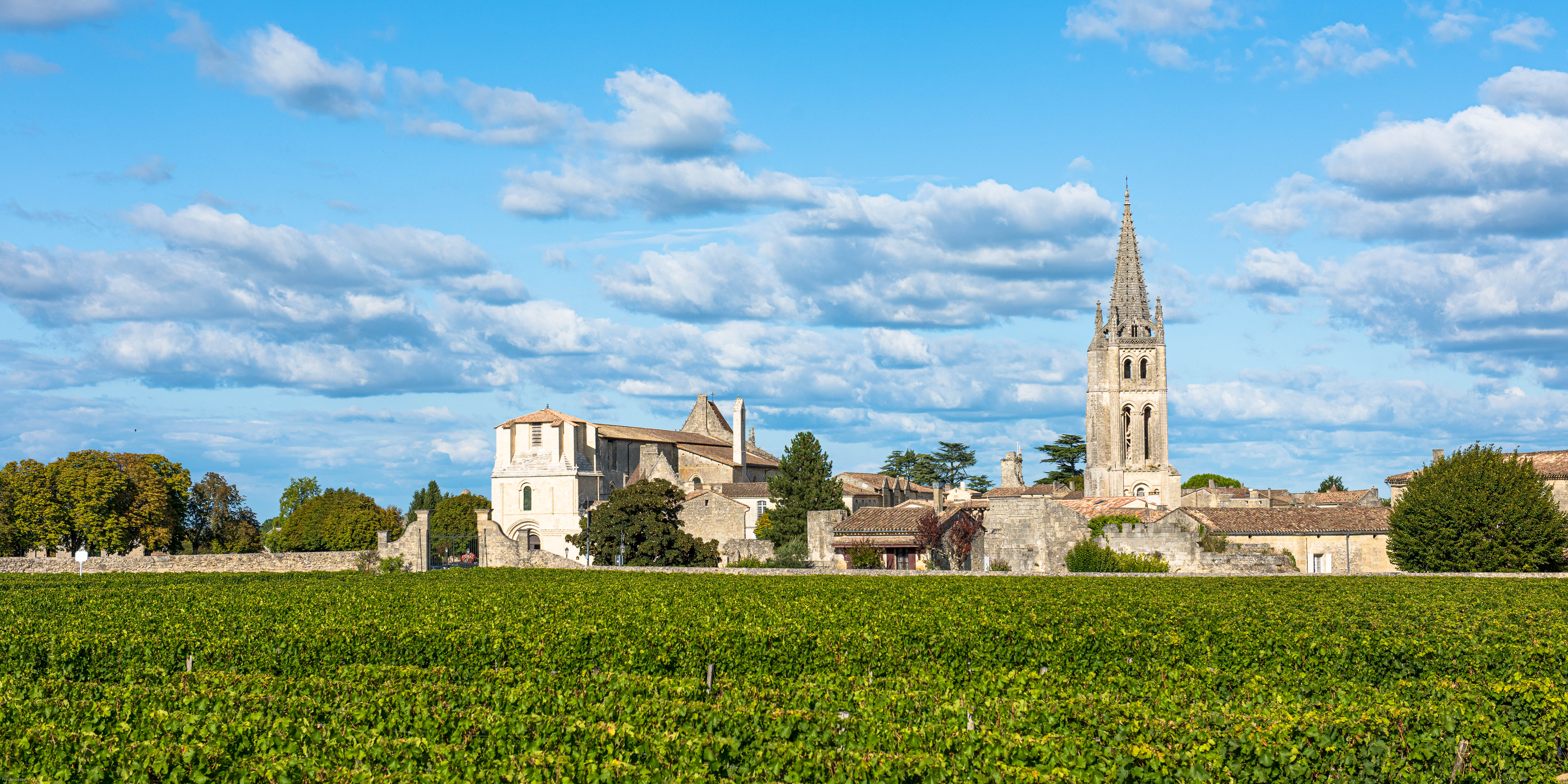 Saint-Émilion vineyards