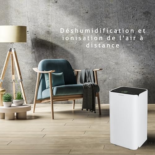 Vue 2 de Deshumidificateur Dair Enturbionaire Senso