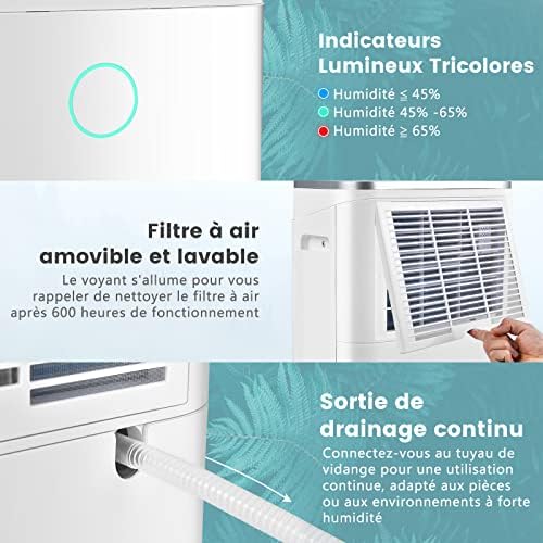 Vue 3 de Goplus Deshumidificateur Ljour Deshumidificateur