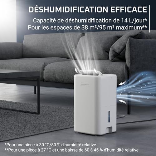 Vue 3 de Rowenta Extreme Dry Compact