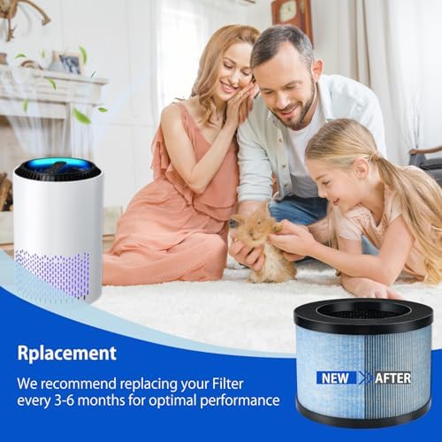 Vue 4 de Iamoy Filtres Hepa De