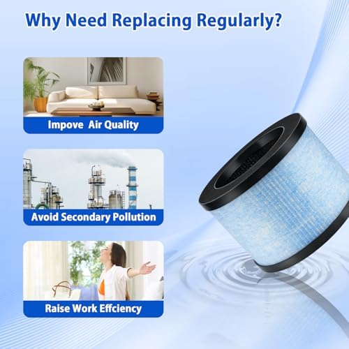 Vue 6 de Iamoy Filtres Hepa De