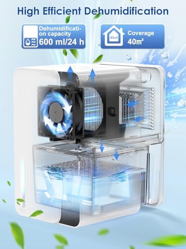 Vue 2 de Deshumidificateur Dair Antimoisissure