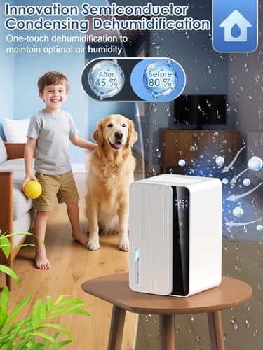 Vue 3 de Deshumidificateur Dair Antimoisissure