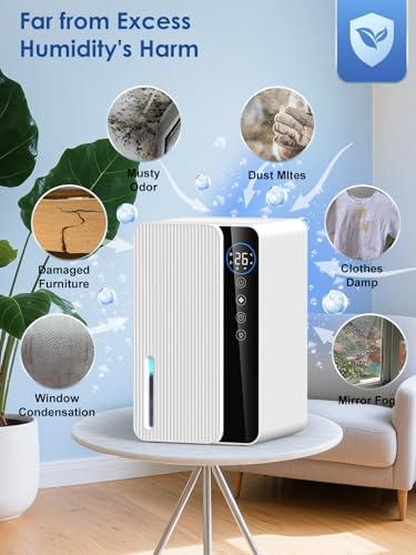 Vue 4 de Deshumidificateur Dair Antimoisissure