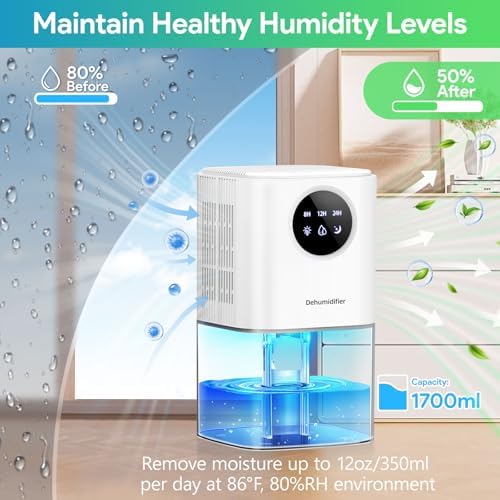 Vue 2 de Deshumidificateur Air Ml