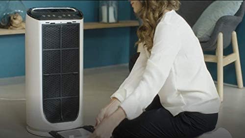 Vue 5 de Rowenta Filtre Charbon Actif