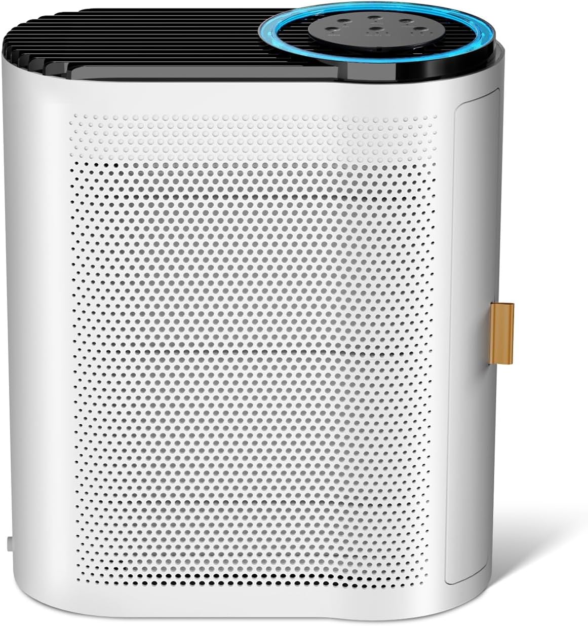 Purificateurs Grandes Surfaces - Équipement purification air professionnel