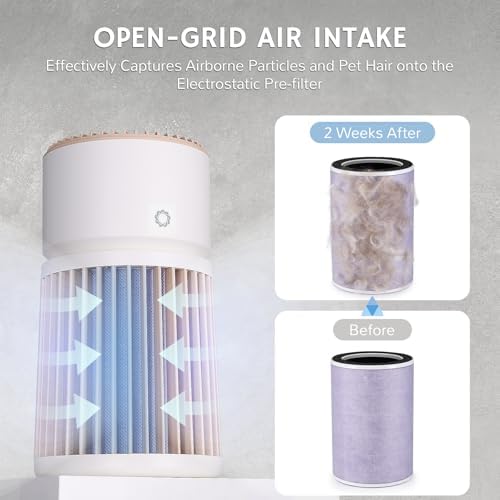 Vue 3 de Airthereal Purificateur Dair Pour