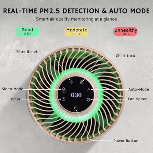 Vue 4 de Airthereal Purificateur Dair Pour