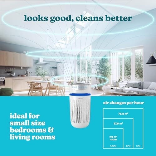 Vue 3 de Homedics Purificateur Dair Filtres