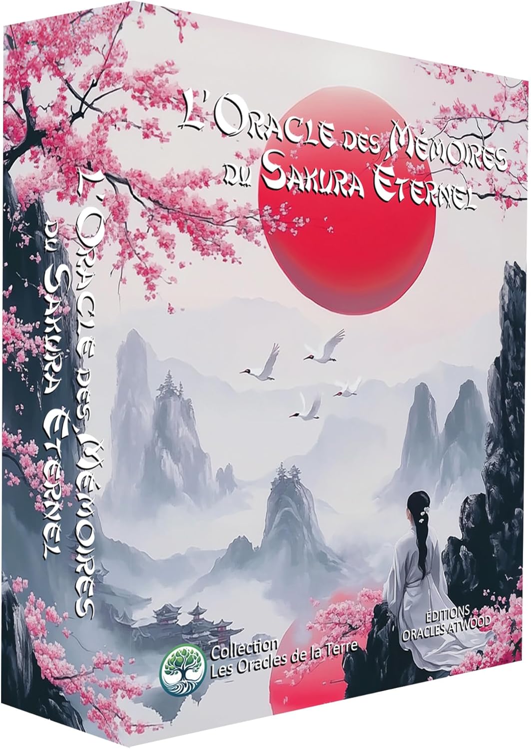 Vue 2 de Plantes Et Encens De