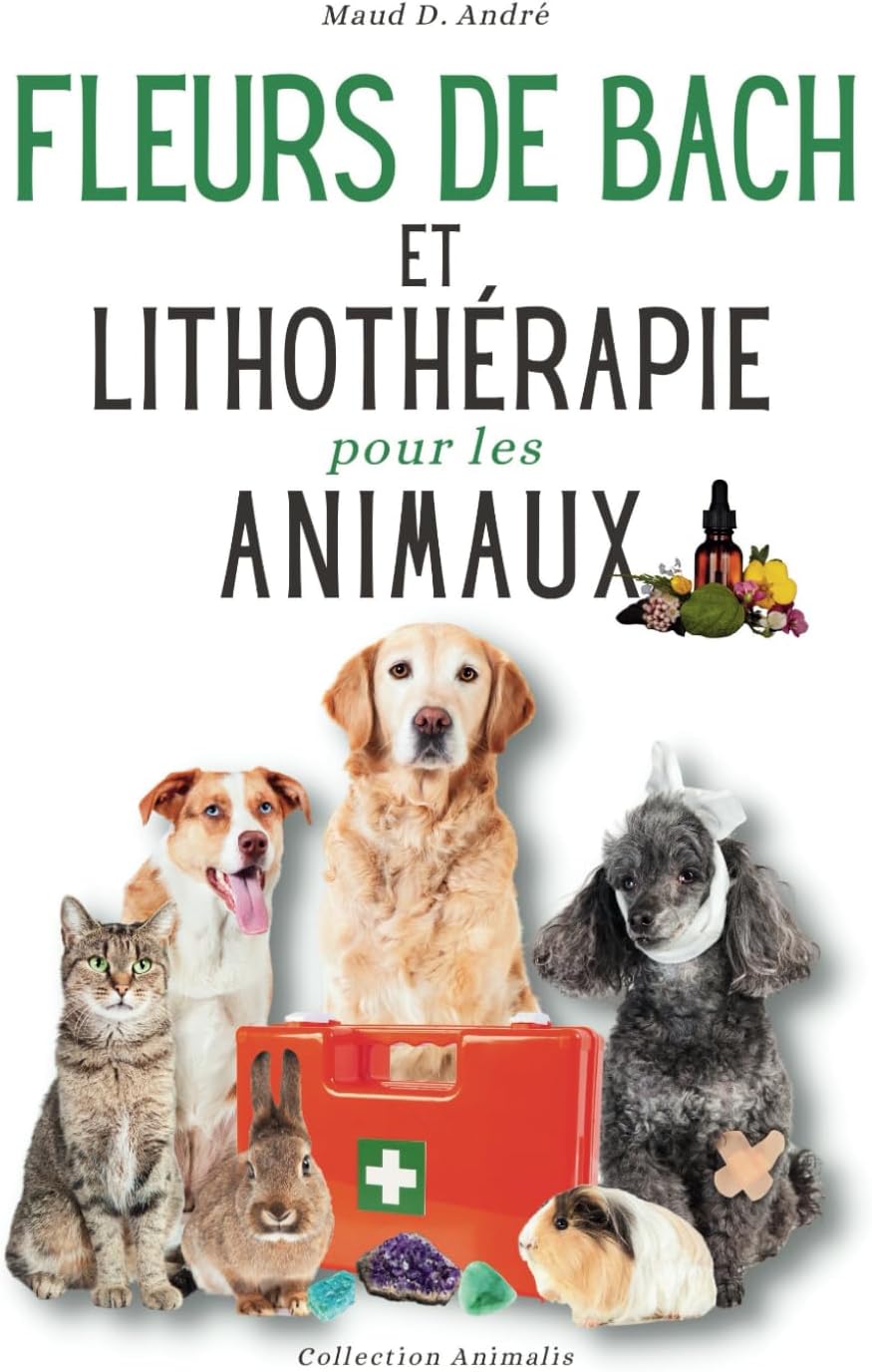 Vue 3 de Plantes Et Encens De