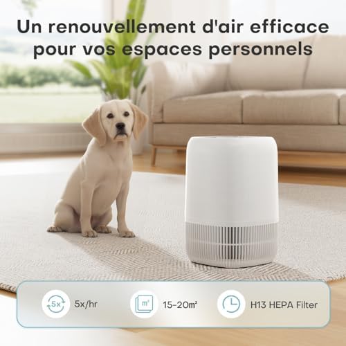 Vue 5 de Aroeve Purificateur Dair Avec