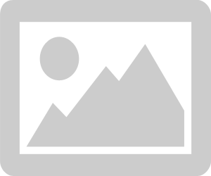 GitHub Sign Up Button