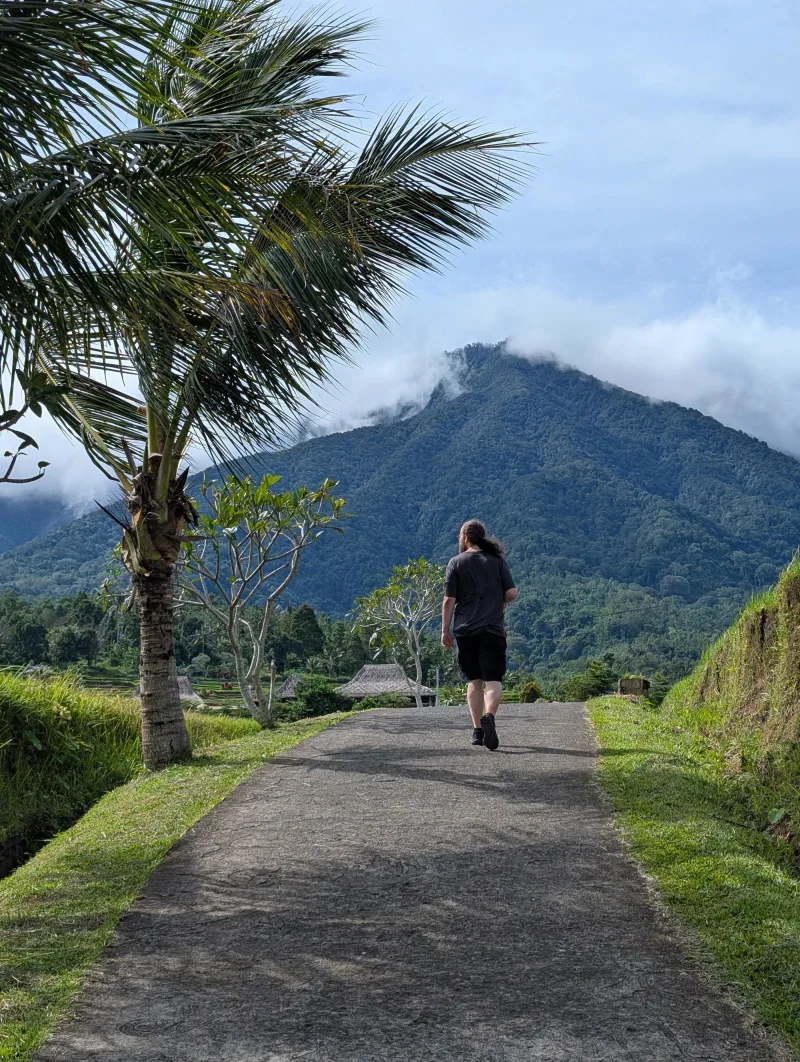 bali rice chris walk - Hallo Bali!