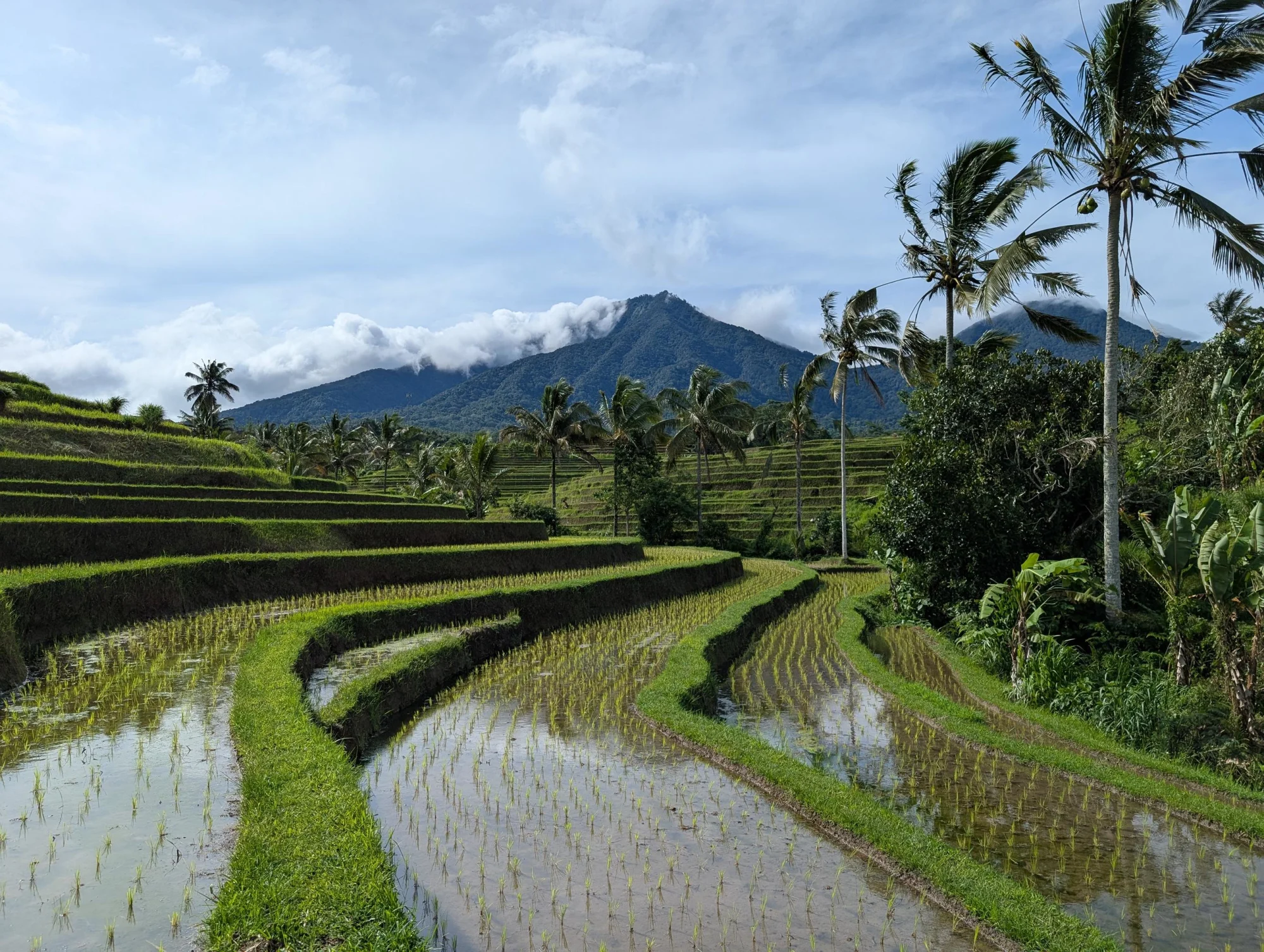 Bali | Indonesien