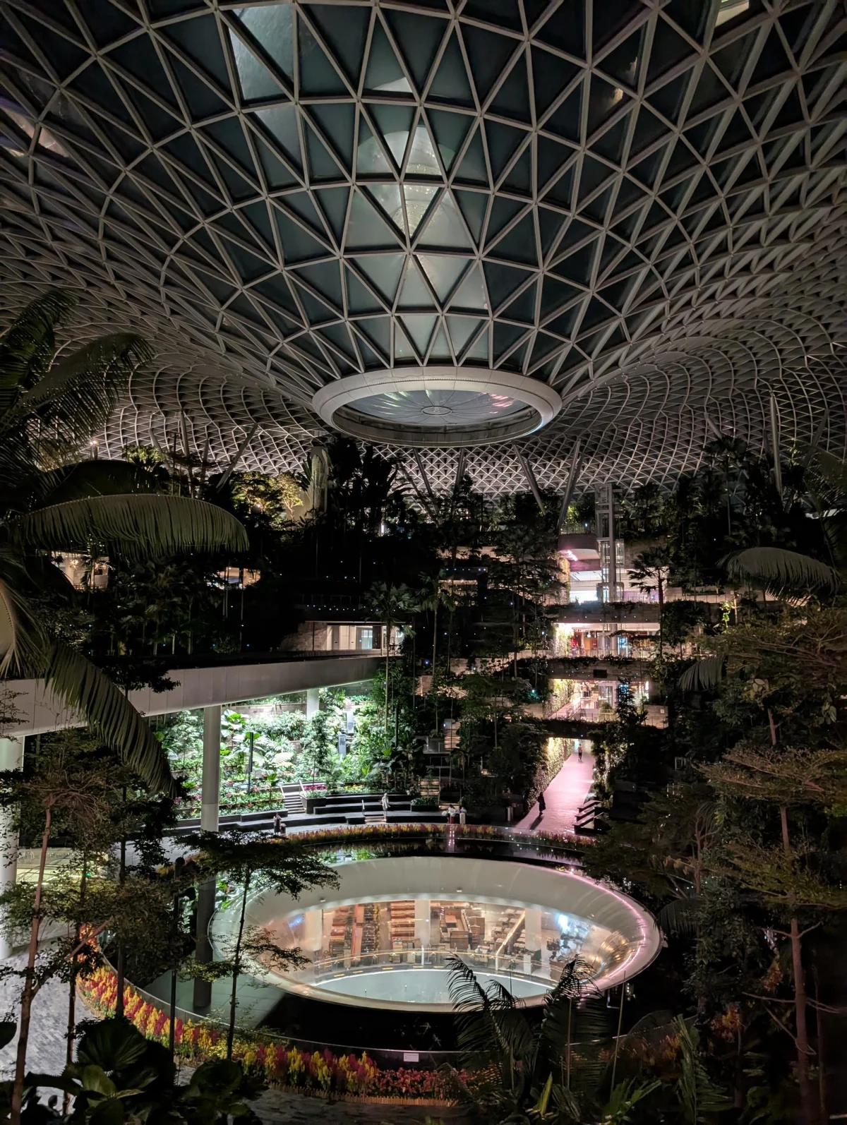 sg airport night k6zbav - Hallo Singapur!