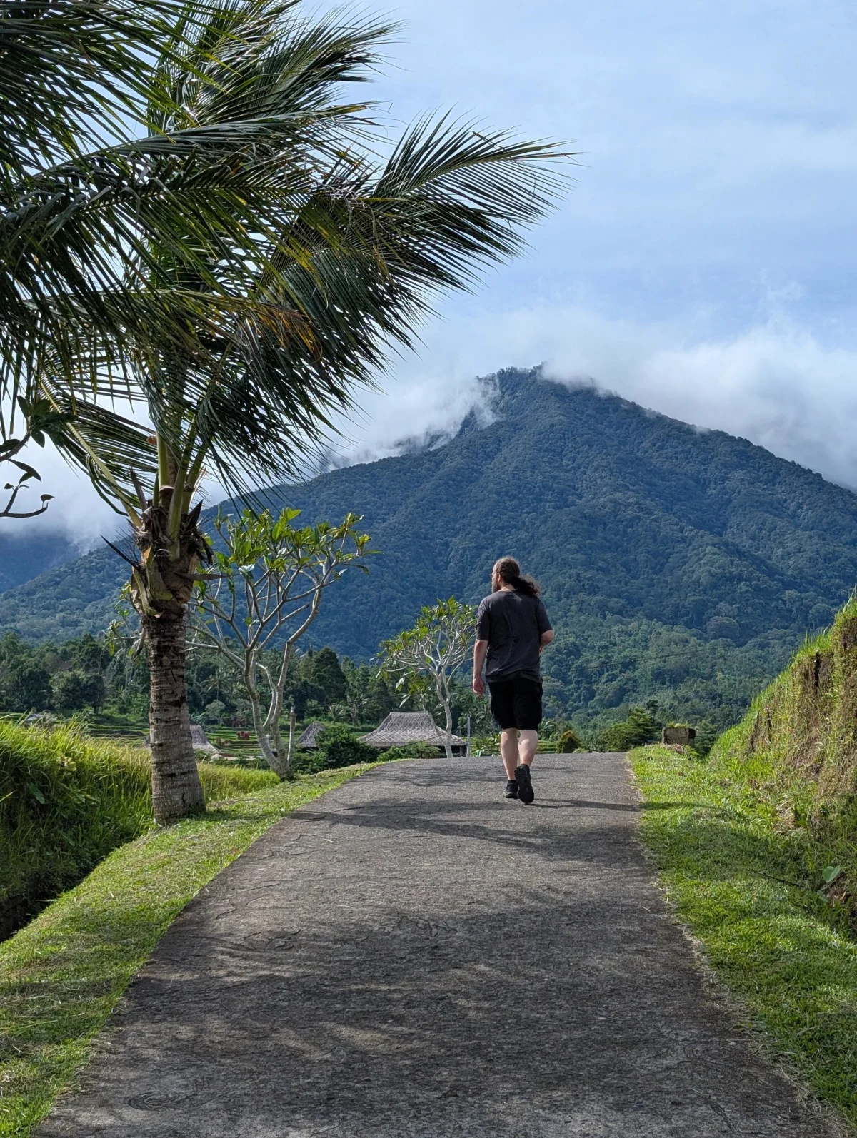 bali rice chris walk - Hallo Bali!