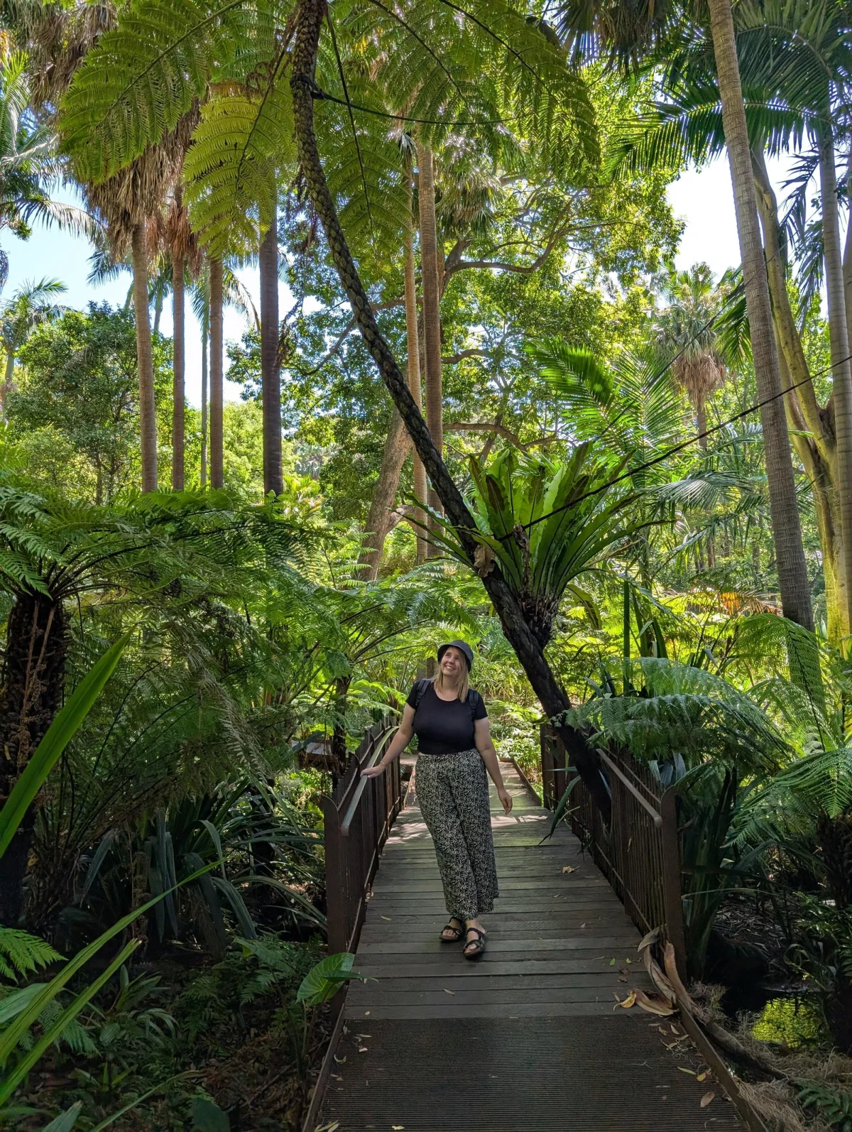 24_melbourne_botanical_garden_walk_nwlow9 - Hallo Melbourne!