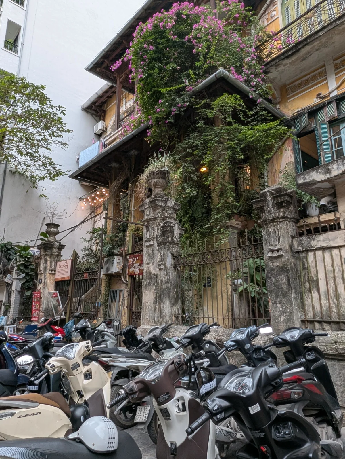 vn hanoi impression 1 qjyik1 - Höhen und Tiefen