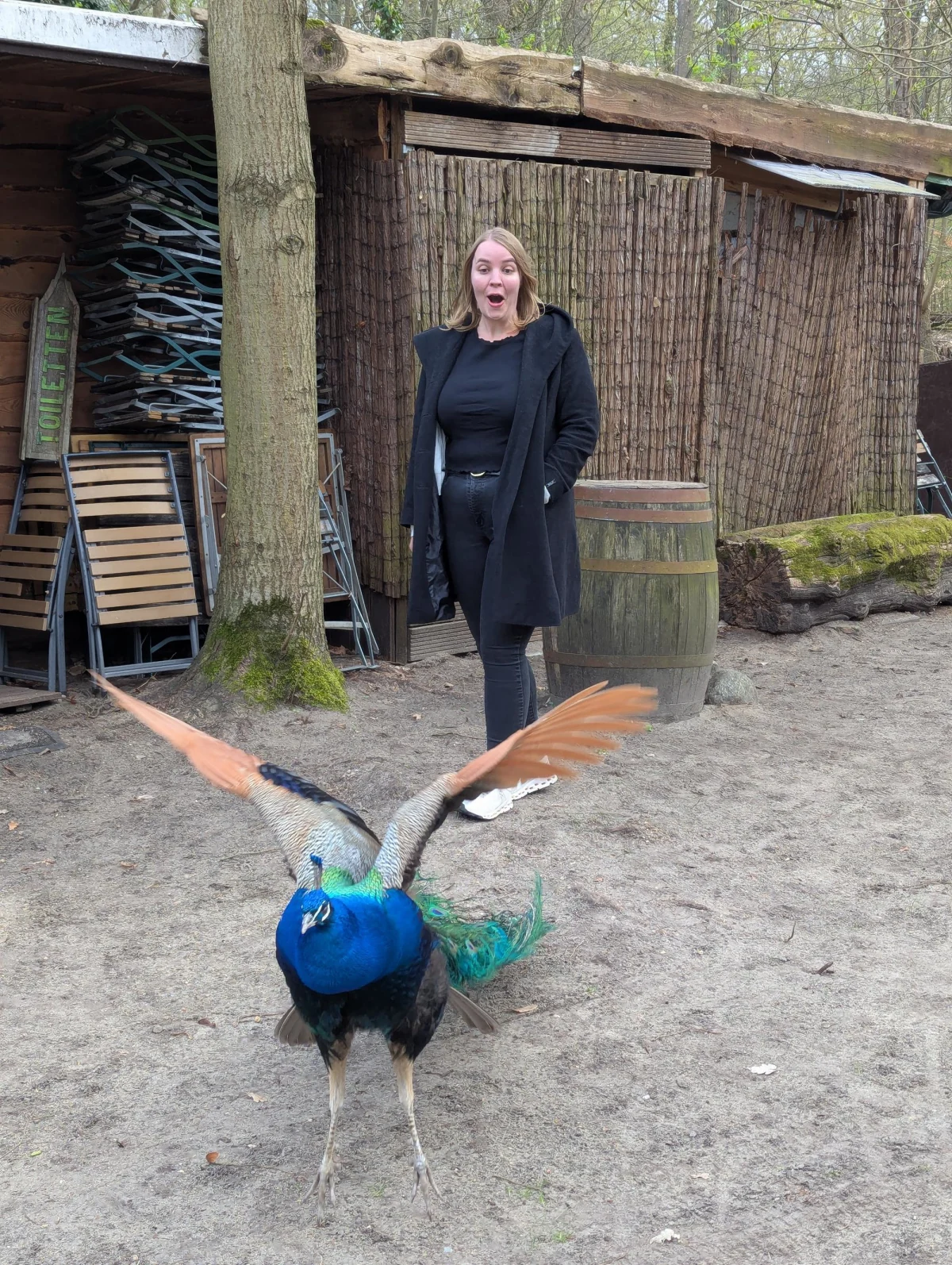 de pfaueninsel anna shocked gxjgpj - Urlaub vom Reisen