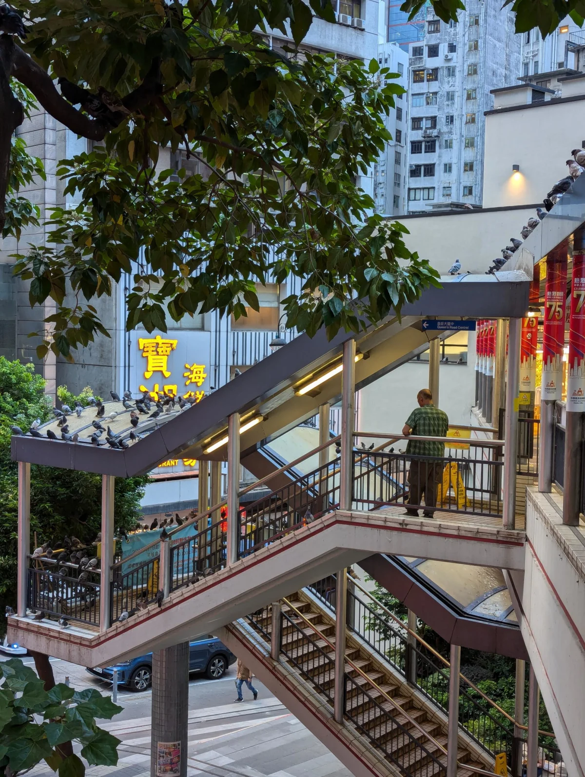 hk impressons 8 ee35cc - Tschüss Hong Kong!