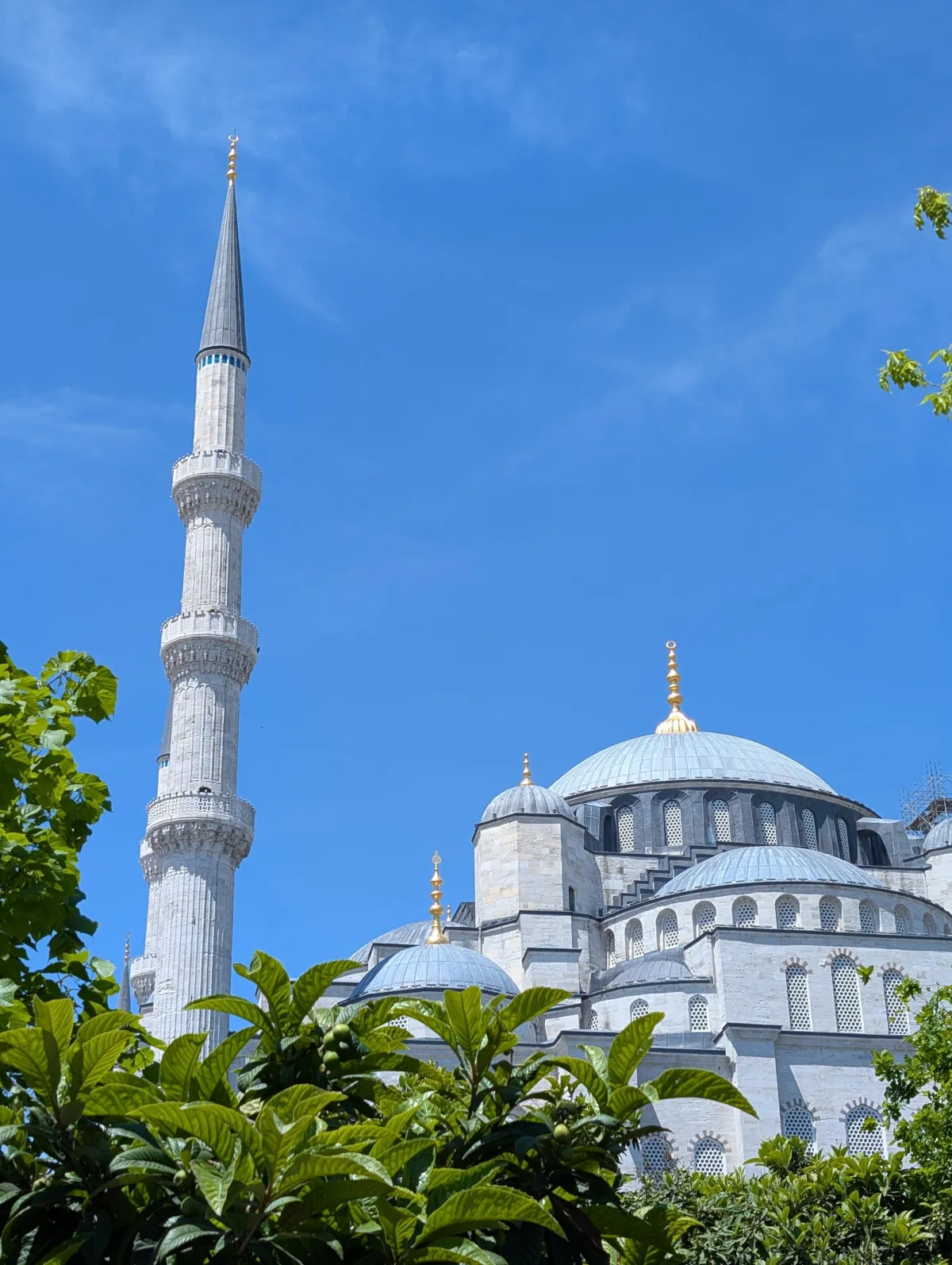 istanbul blue mosque outside bvpflr - Hallo Istanbul!
