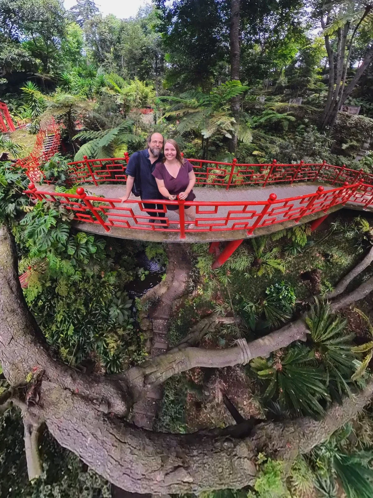 madeira chin garten 1 uegces - Hallo Welt!