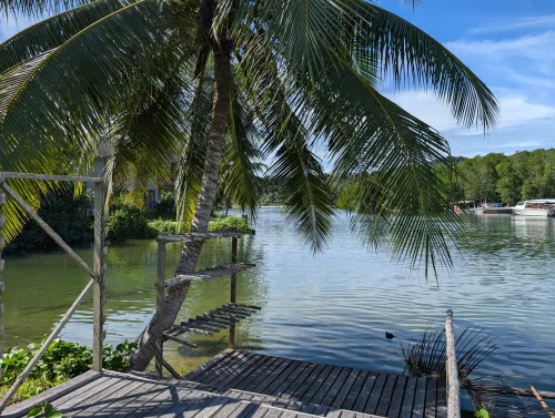 kohkood little white bird 2 tfpabc - Hallo Koh Kood!