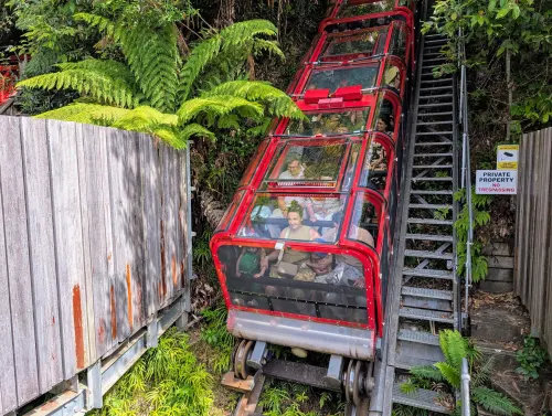 sydney bluemountains train steep trjamn - Hallo Sydney!