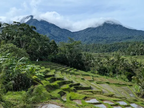 bali rice view 2 coverimage irdqfq - Hallo Bali!